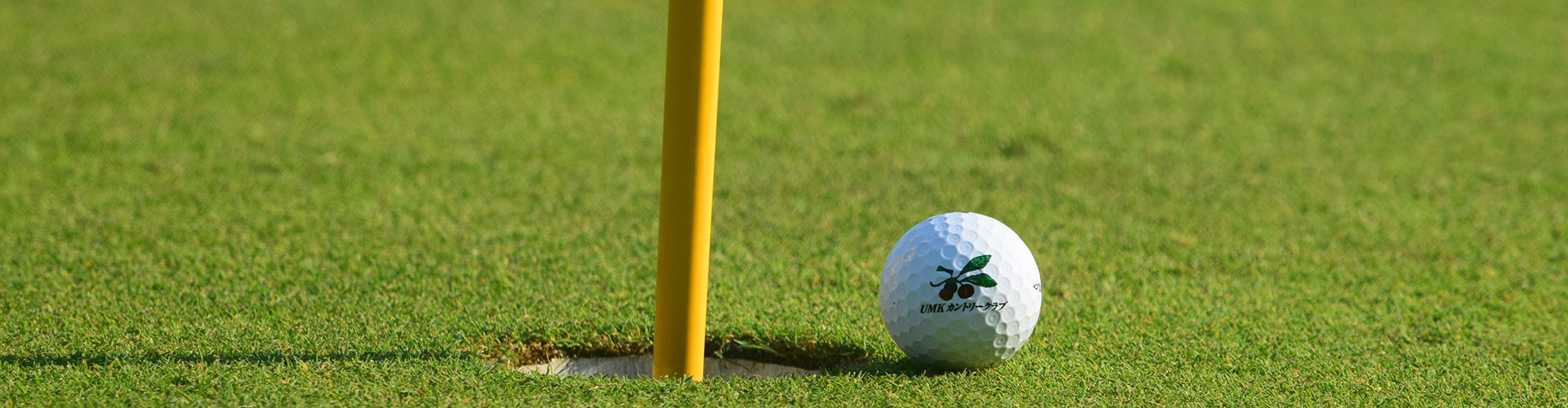 일본 미야자키 UMK Country Club 코스 사진 4